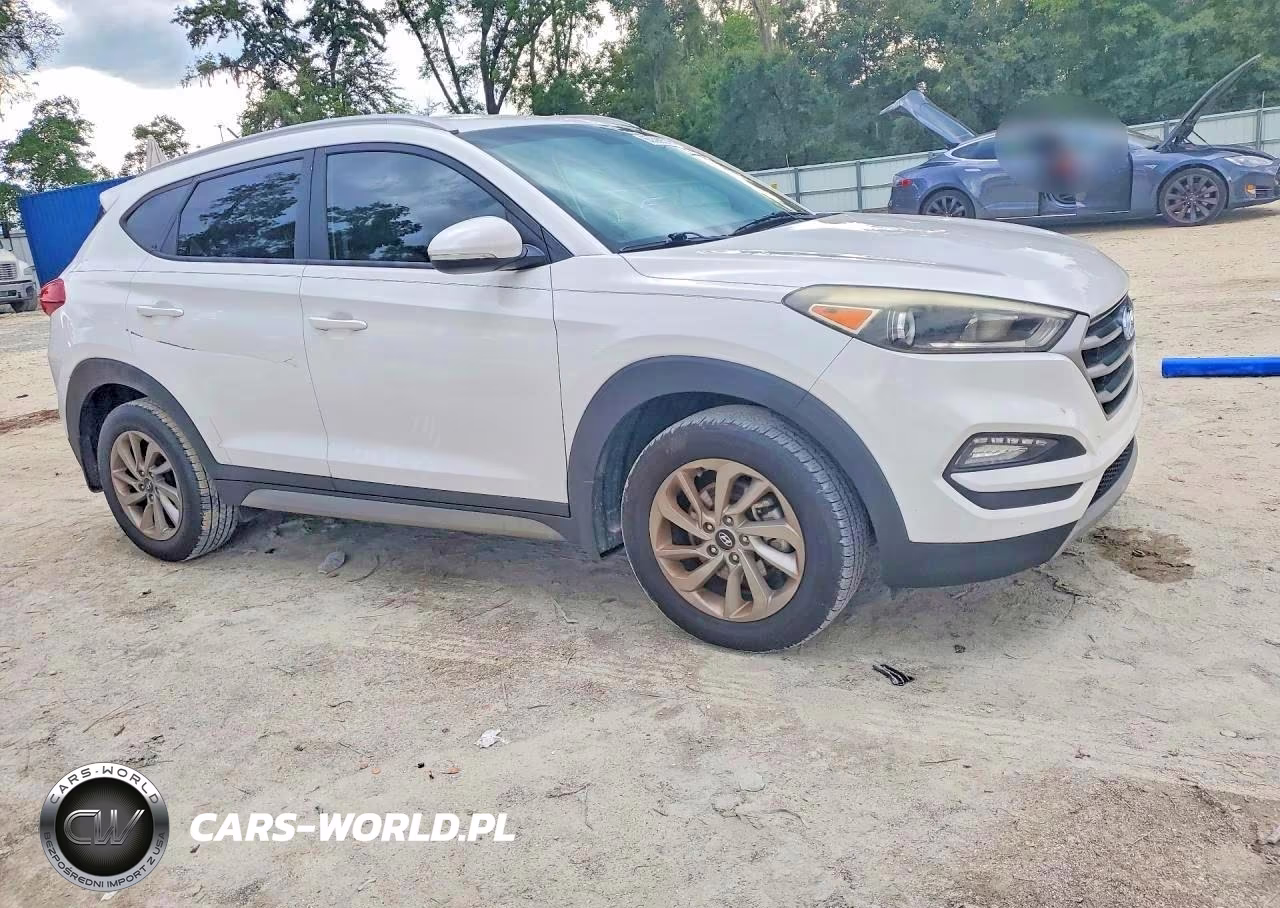2017 Hyundai Tucson Eco VIN:KM8J33A20HU272853 - 4