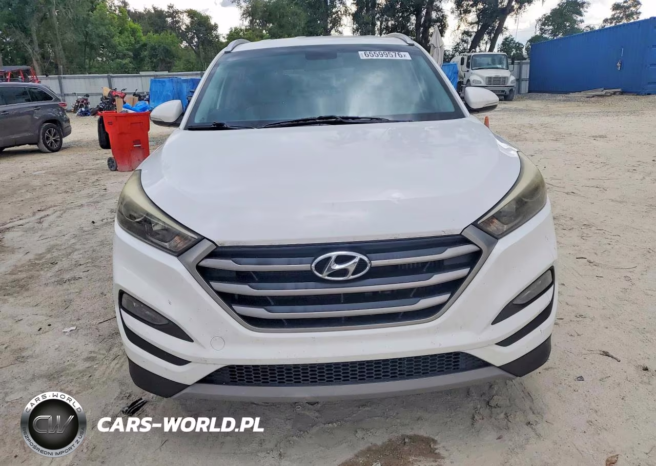 2017 Hyundai Tucson Eco VIN:KM8J33A20HU272853 - 5