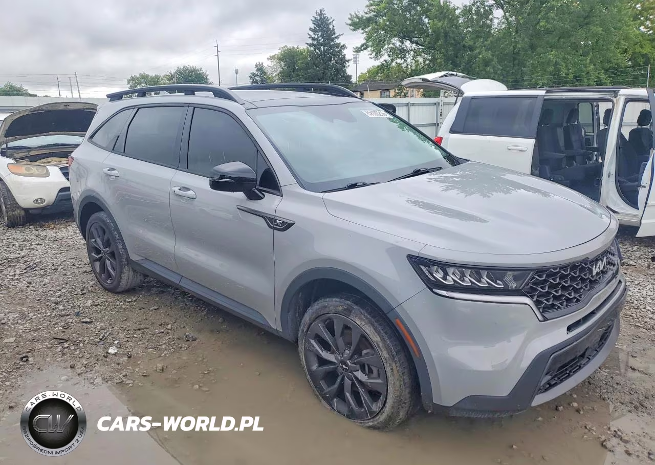 2023 Kia Sorento Ex VIN:5XYRHDLF8PG203388 - 4