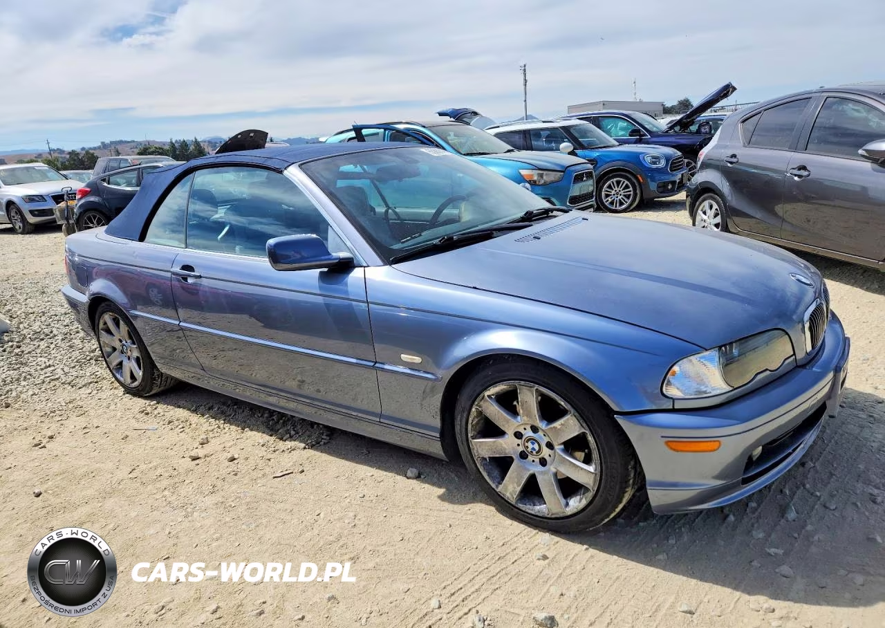 2003 BMW 325 Ci VIN:WBABS33493PG92550 - 4