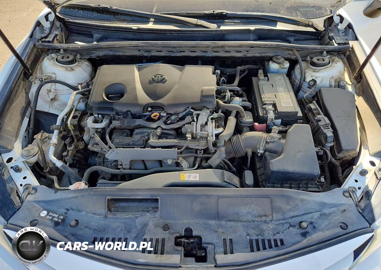2019 Toyota Camry Le VIN:4T1B11HK2KU196970 - 11