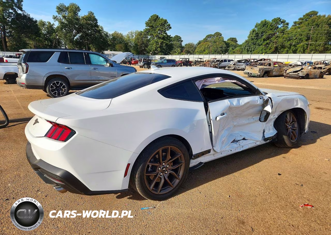 2025 Ford Mustang VIN:1FA6P8TH4S5129618 - 3