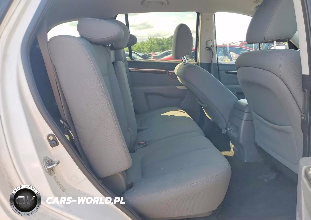 2010 Hyundai Santa Fe Gls VIN:5NMSG3AB9AH414756 - 11
