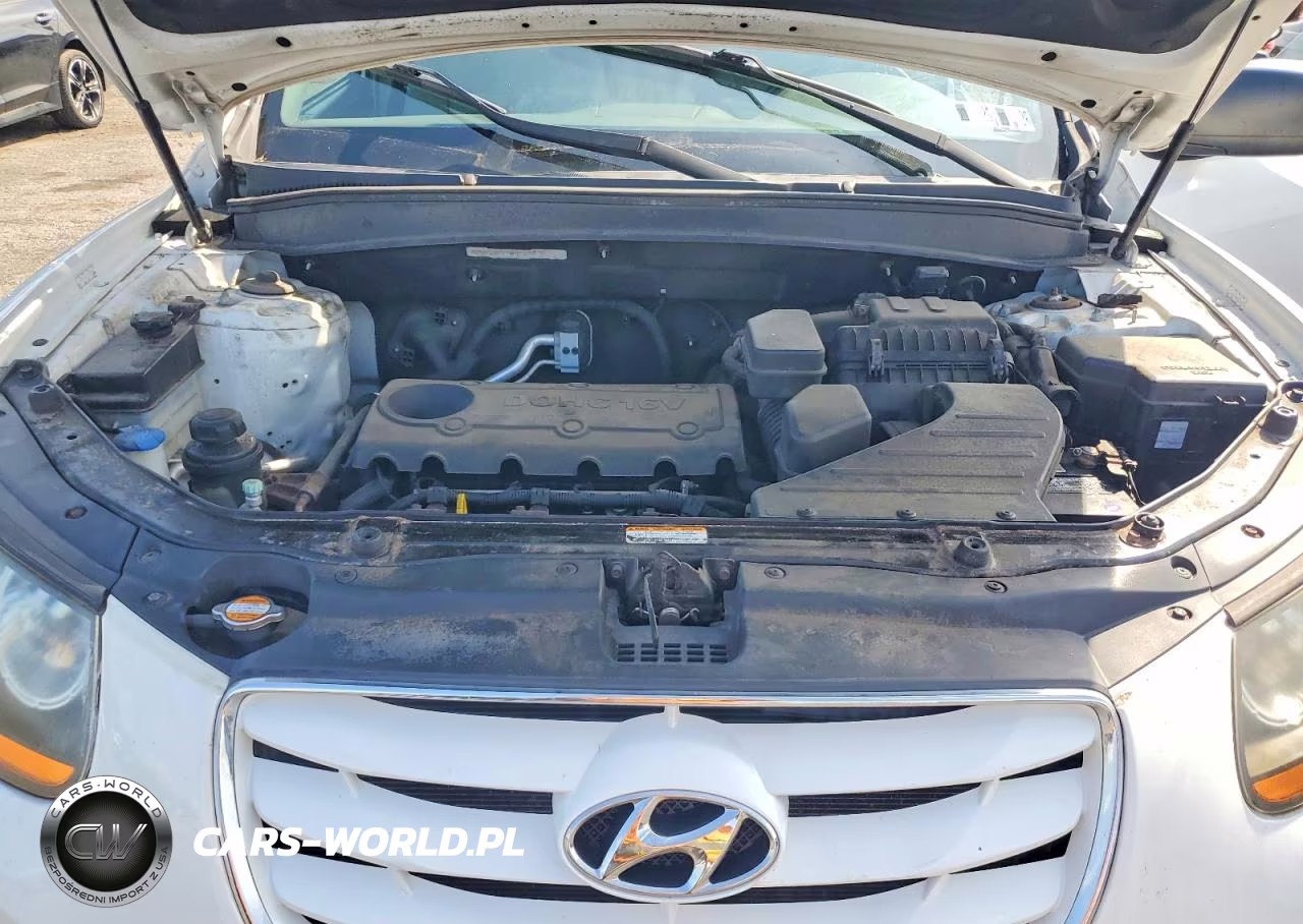 2010 Hyundai Santa Fe Gls VIN:5NMSG3AB9AH414756 - 12