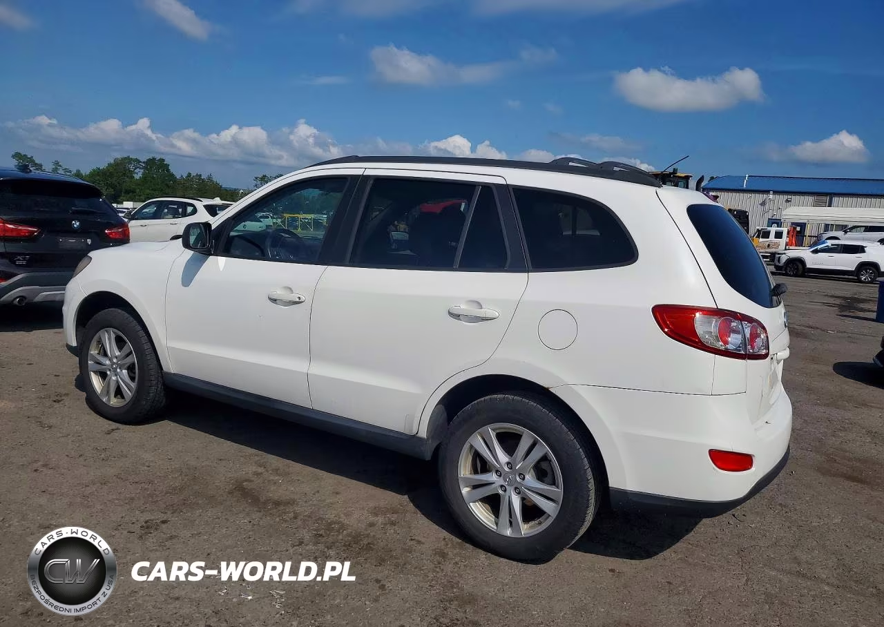 2010 Hyundai Santa Fe Gls VIN:5NMSG3AB9AH414756 - 2
