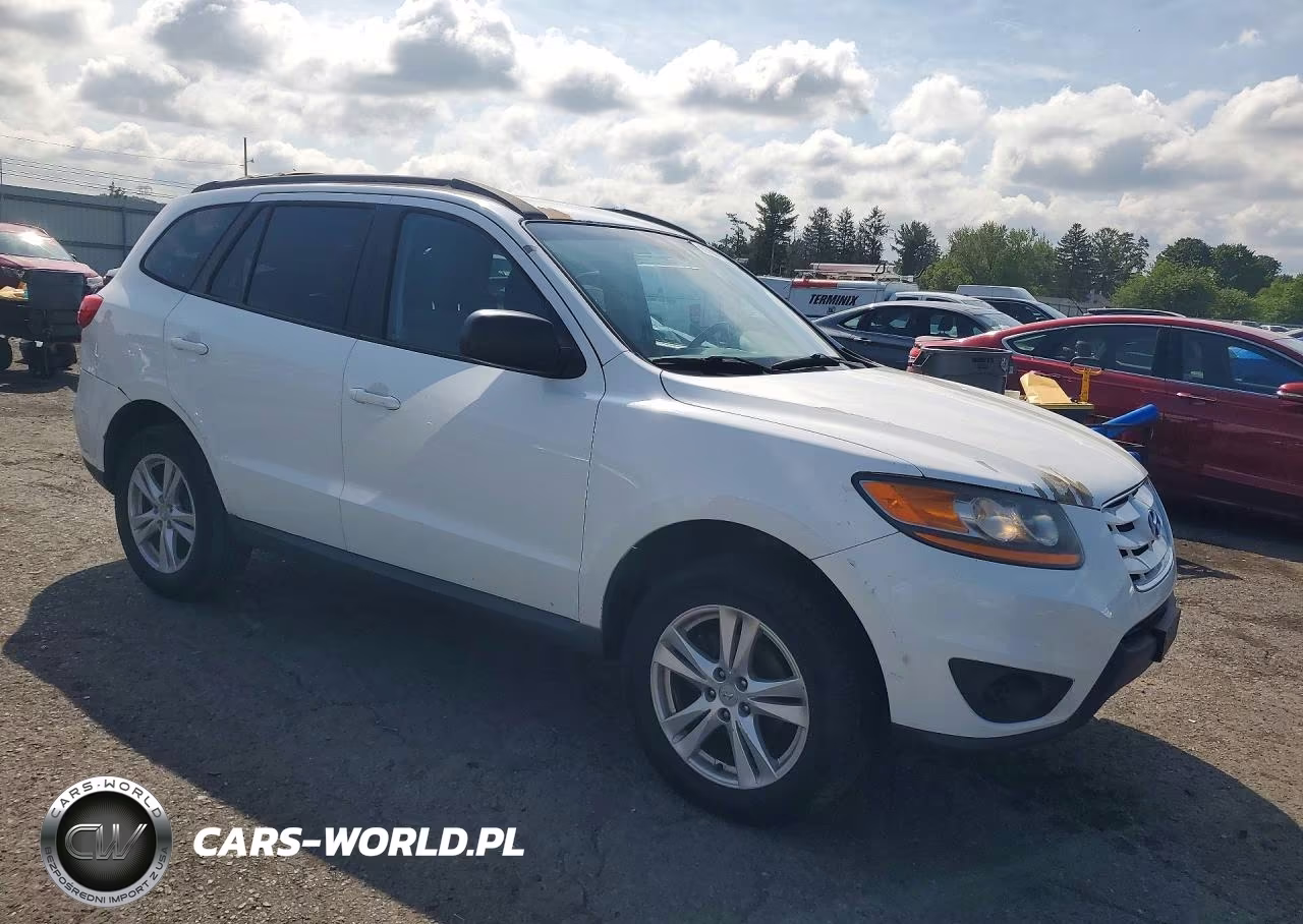 2010 Hyundai Santa Fe Gls VIN:5NMSG3AB9AH414756 - 4