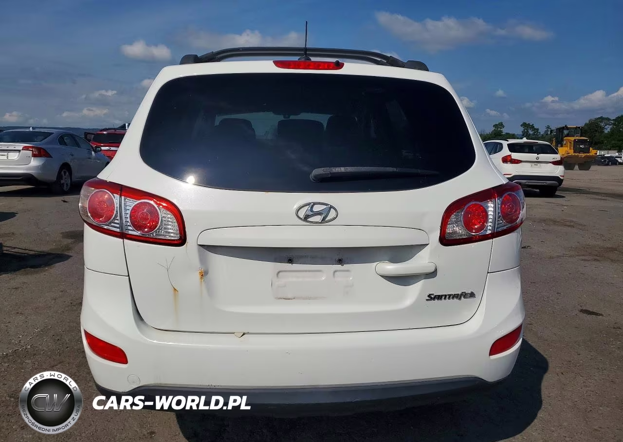 2010 Hyundai Santa Fe Gls VIN:5NMSG3AB9AH414756 - 6