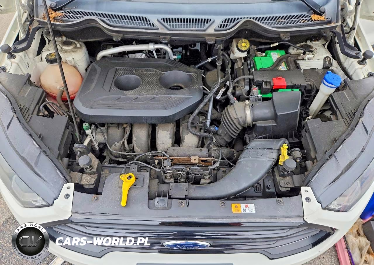 2020 Ford Ecosport Ses VIN:MAJ6S3JL9LC315547 - 11