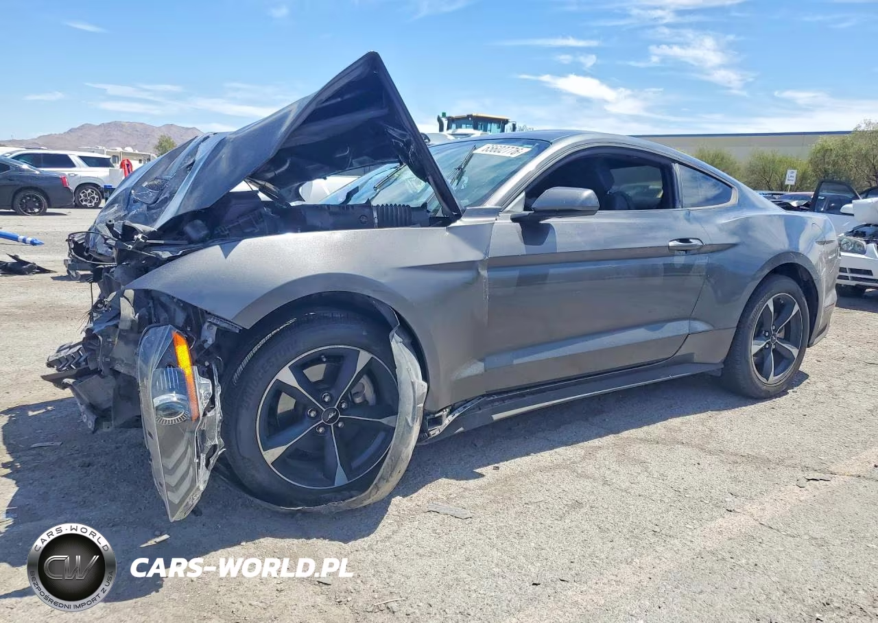 2019 Ford Mustang