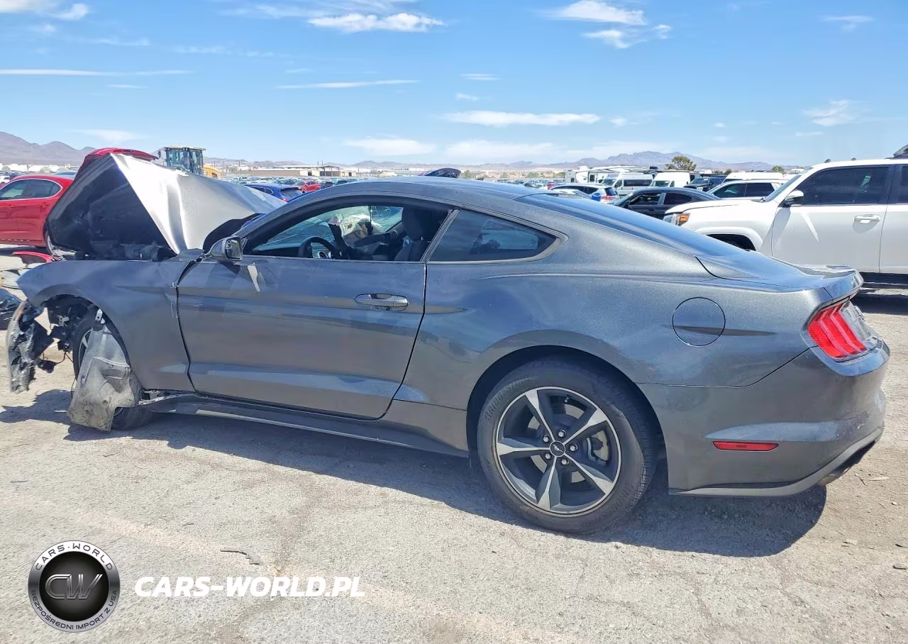 2019 Ford Mustang VIN:1FA6P8TH0K5181330 - 2