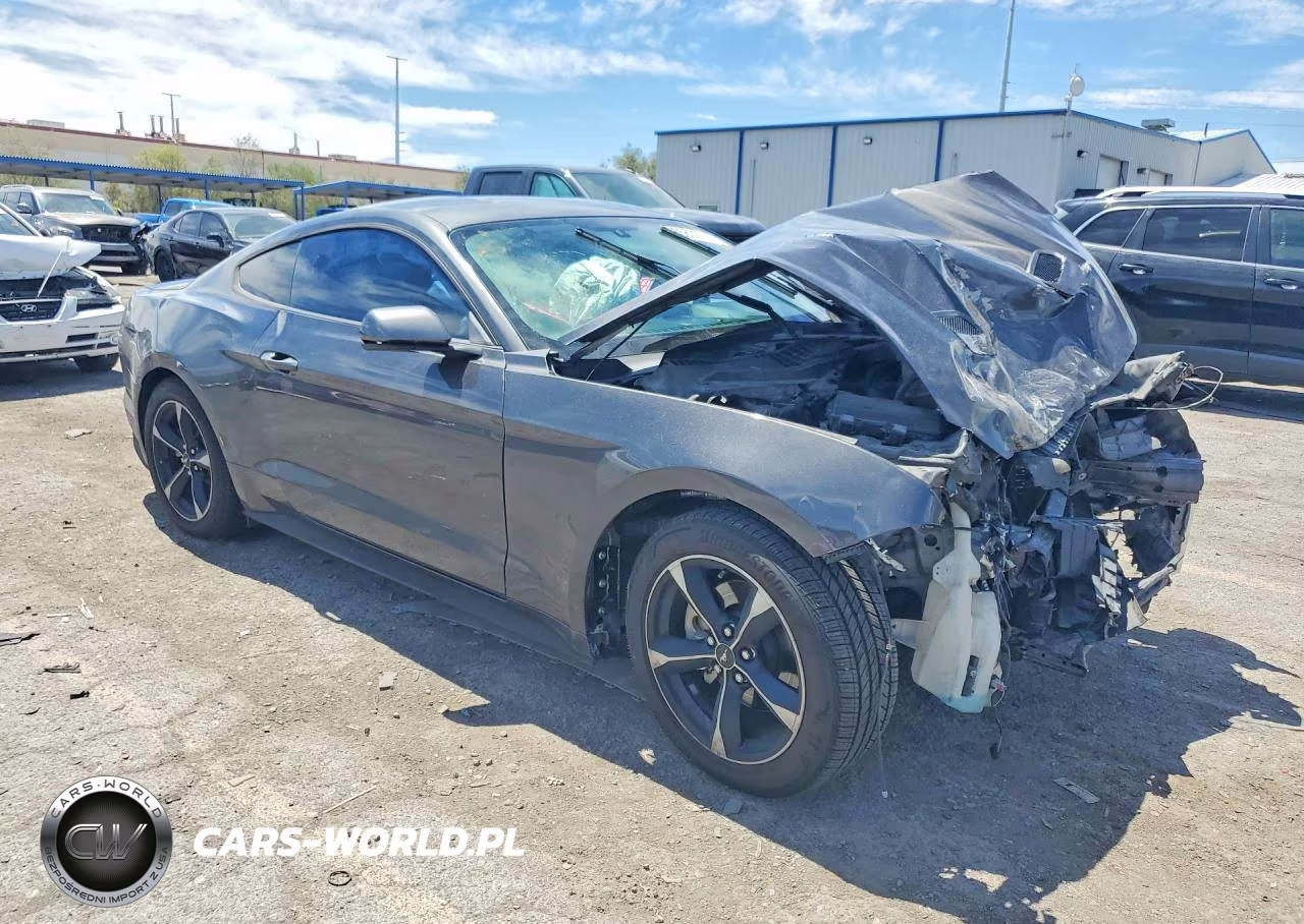 2019 Ford Mustang VIN:1FA6P8TH0K5181330 - 4