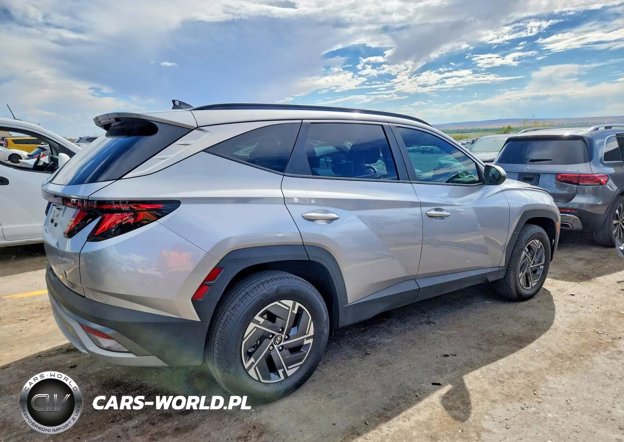 2025 Hyundai Tucson Blue VIN:KM8JBDD16SU272469 - 3