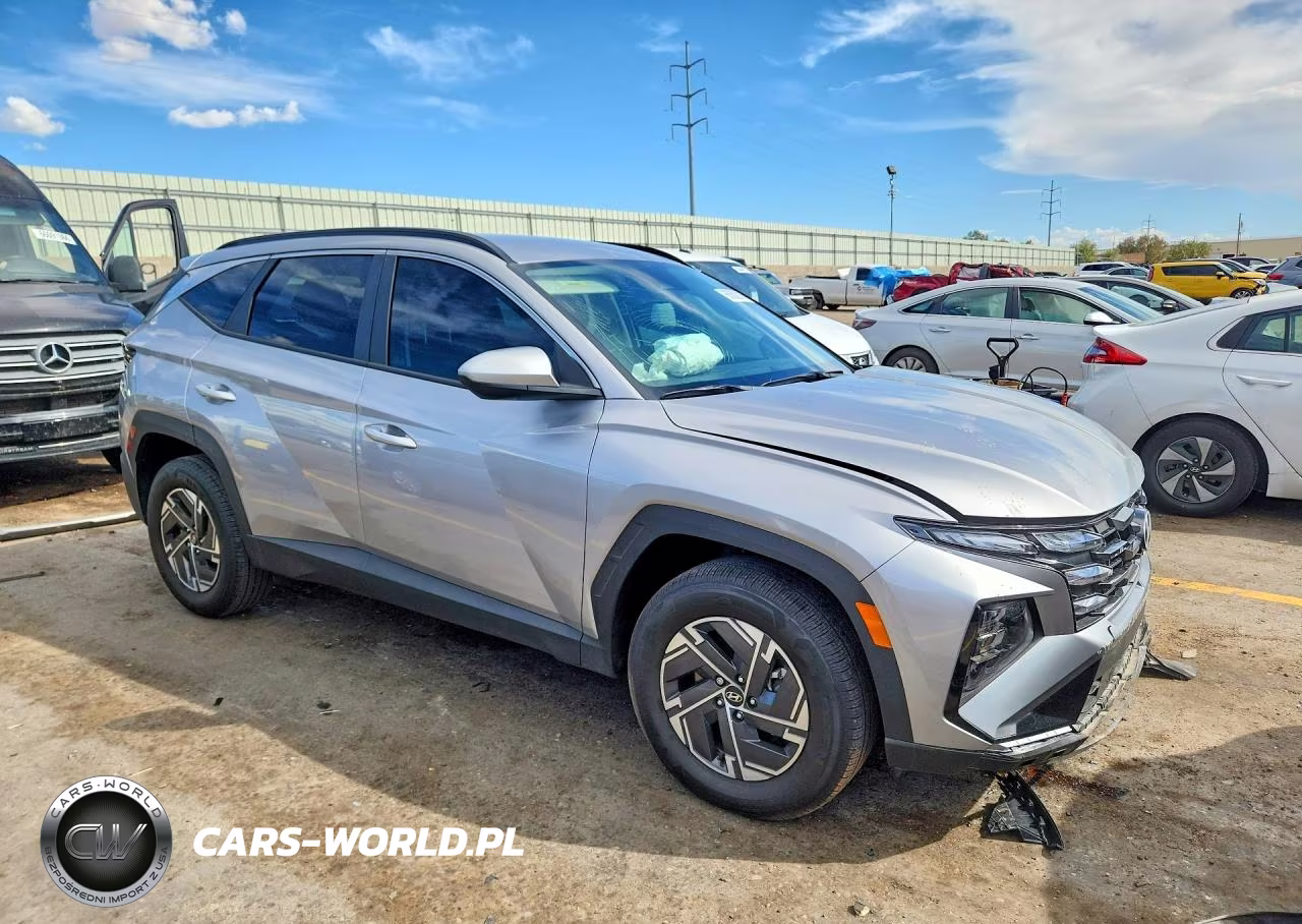 2025 Hyundai Tucson Blue VIN:KM8JBDD16SU272469 - 4
