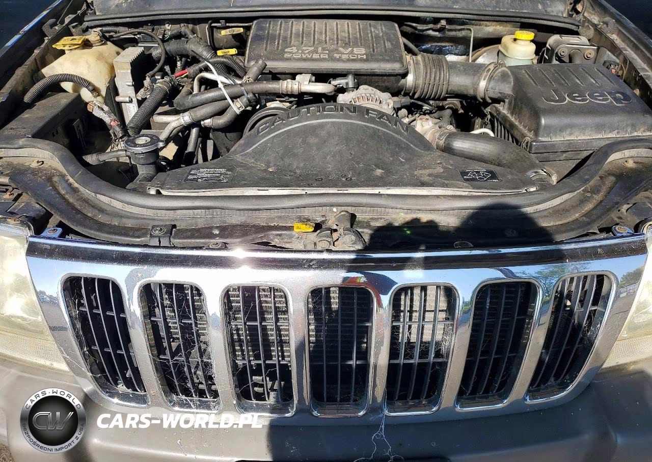 2000 Jeep Grand Cherokee Laredo VIN:1J4GW48N7YC320733 - 11