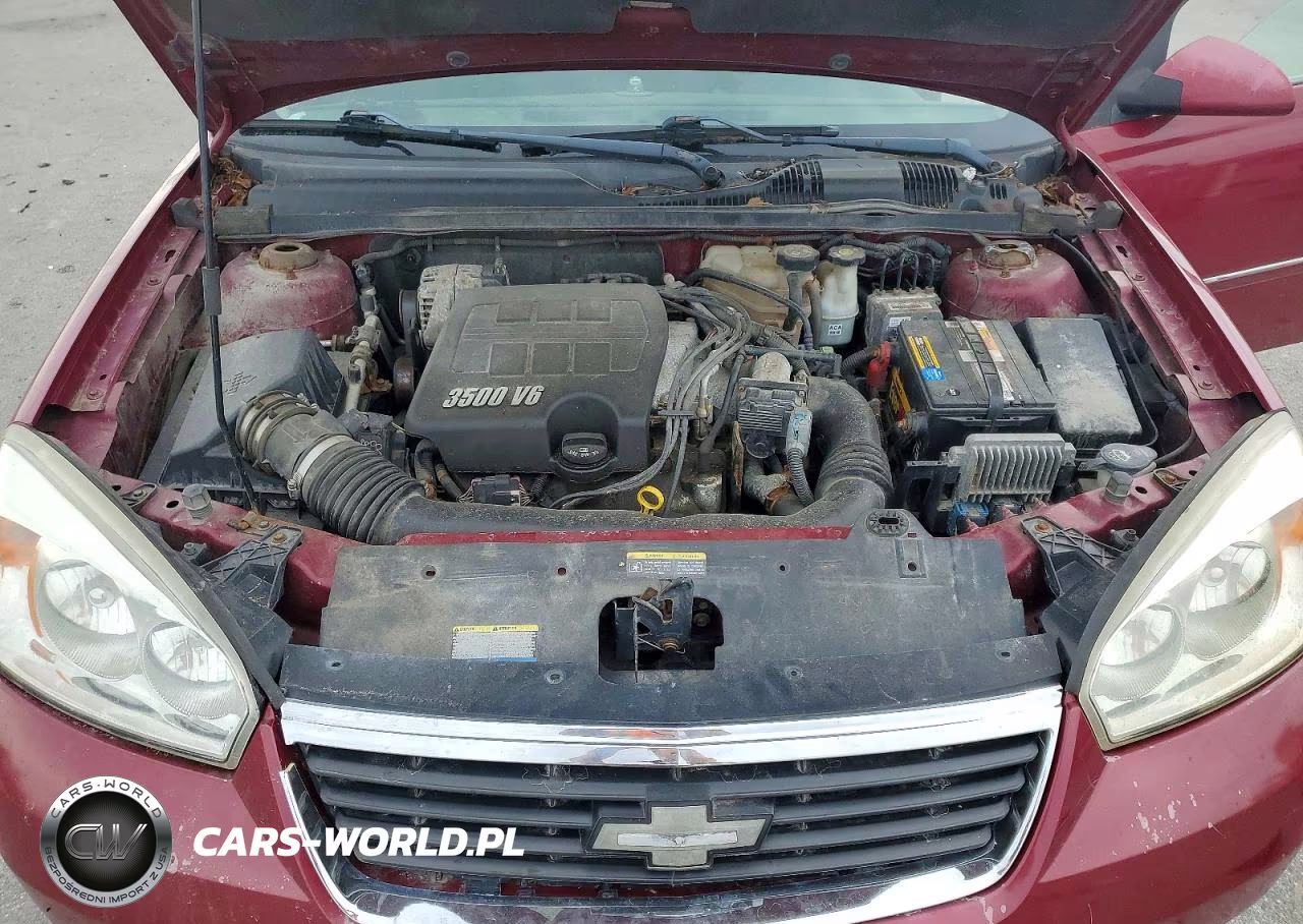 2006 Chevrolet Malibu Maxx Lt VIN:1G1ZT61896F268324 - 11