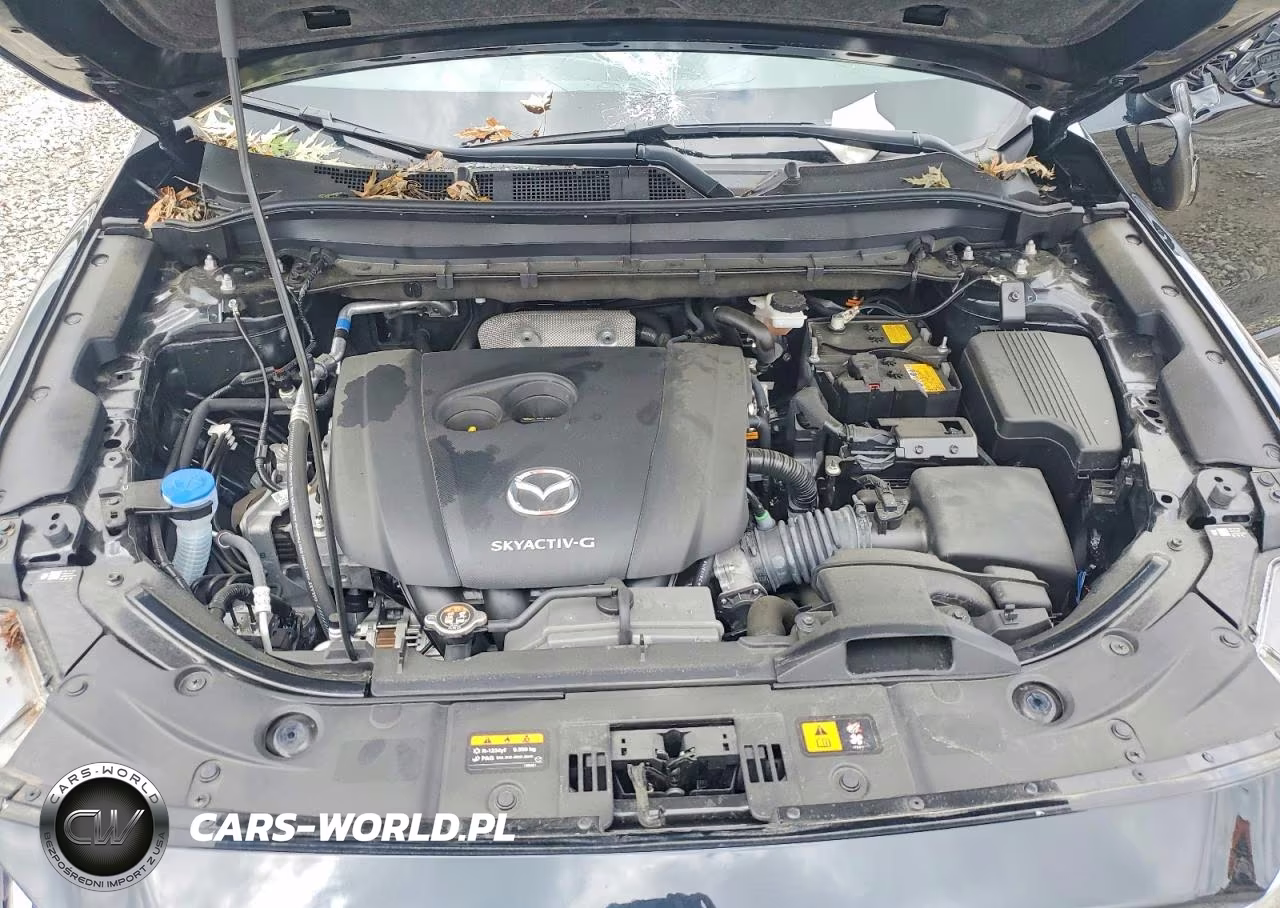 2025 Mazda Cx-5 Preferred VIN:JM3KFBCLXS0658637 - 12