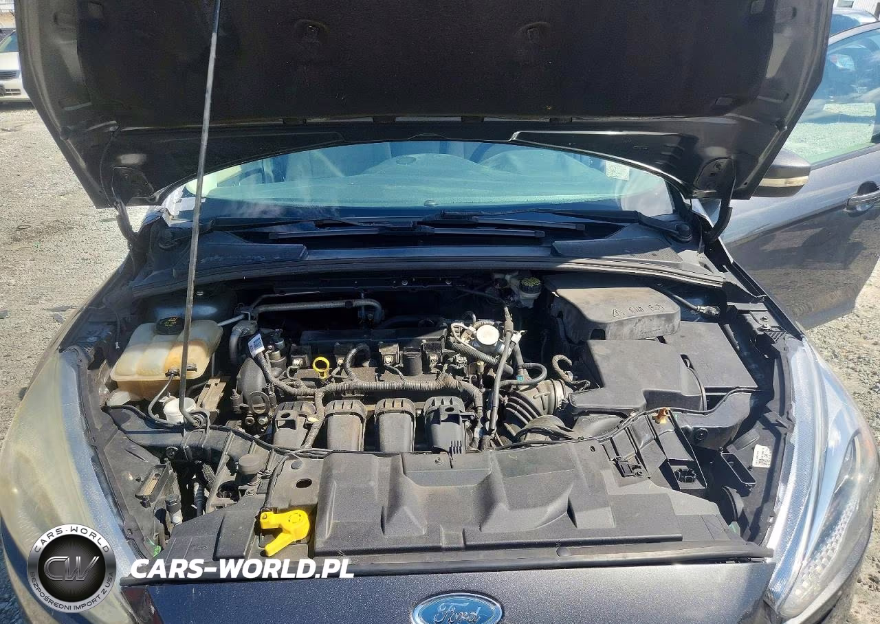 2016 Ford Focus Se VIN:1FADP3K25GL371019 - 11