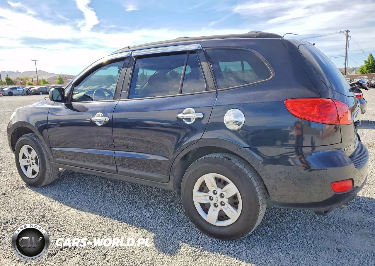 2009 Hyundai Santa Fe Gls VIN:5NMSG13D59H312790 - 2