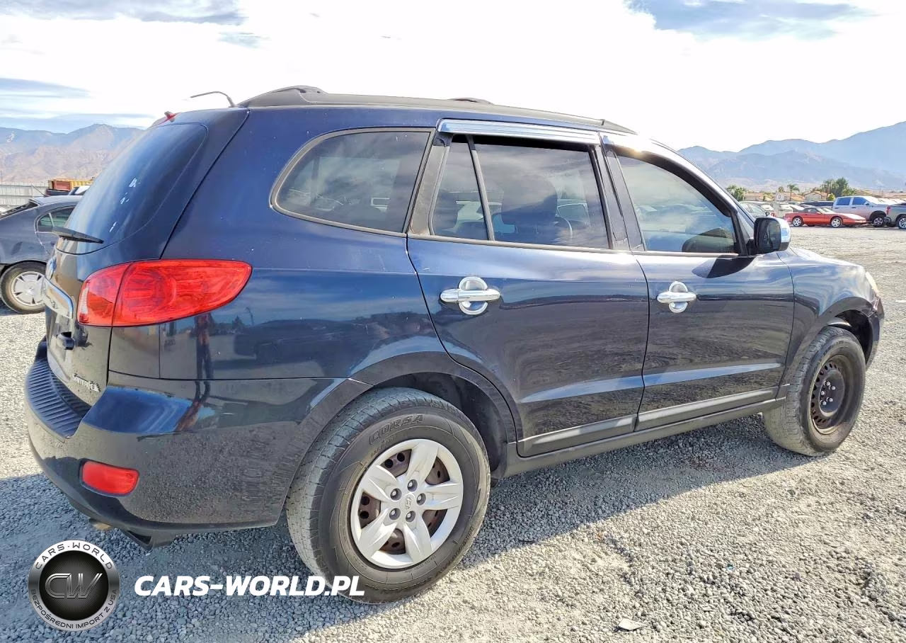 2009 Hyundai Santa Fe Gls VIN:5NMSG13D59H312790 - 3