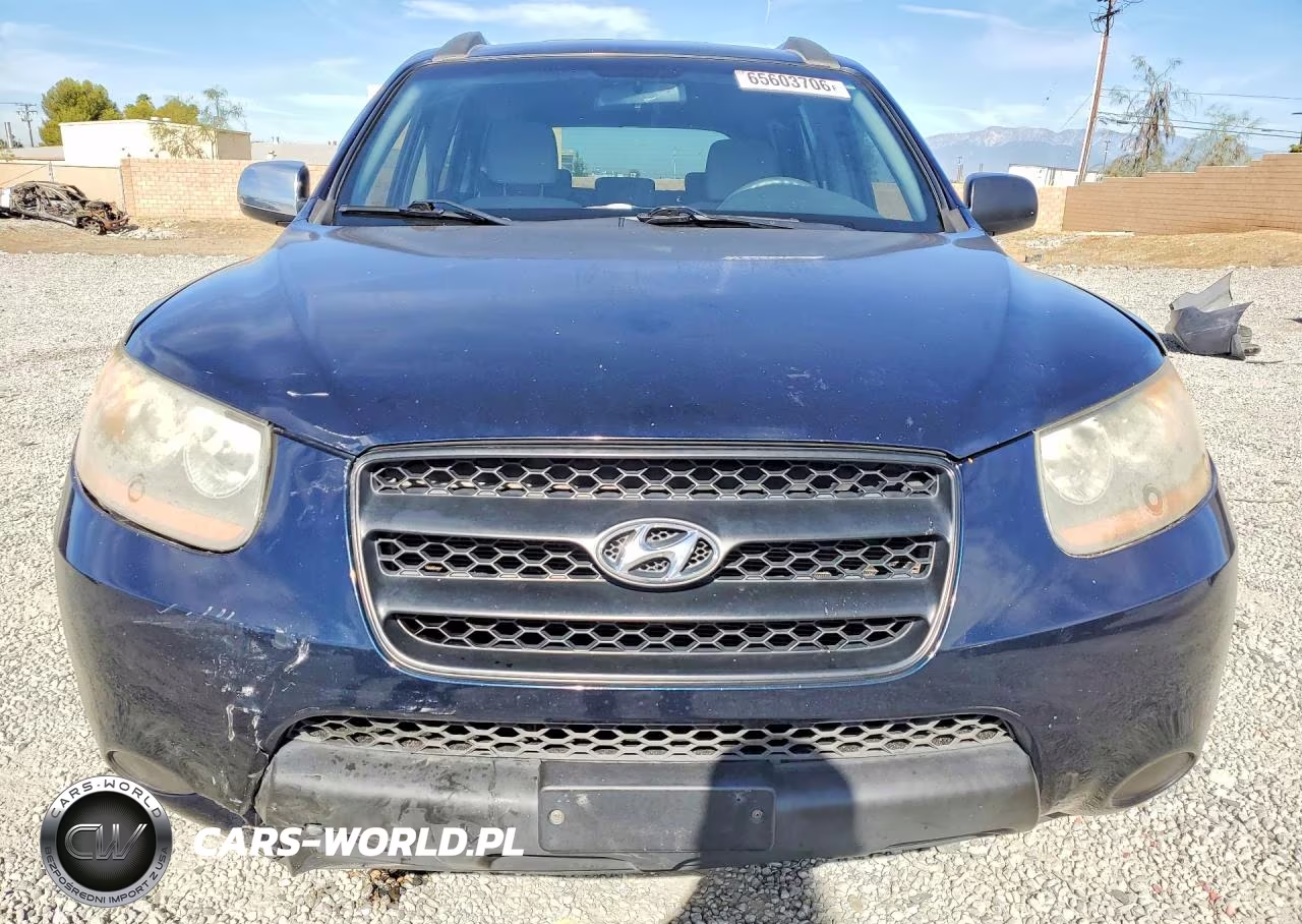 2009 Hyundai Santa Fe Gls VIN:5NMSG13D59H312790 - 5
