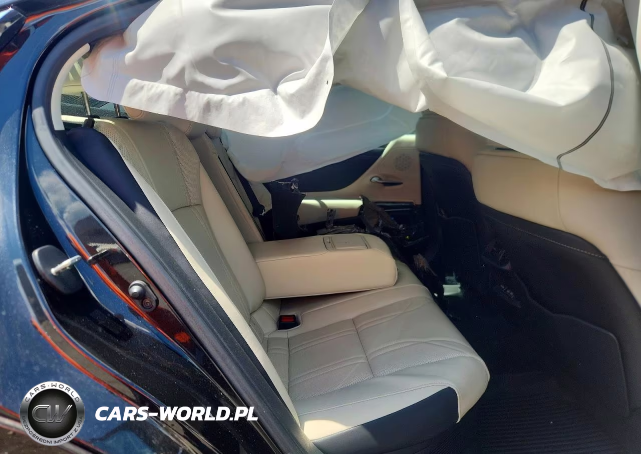 2025 Lexus Es 300H Luxury VIN:58AEA1C1XSU060350 - 10