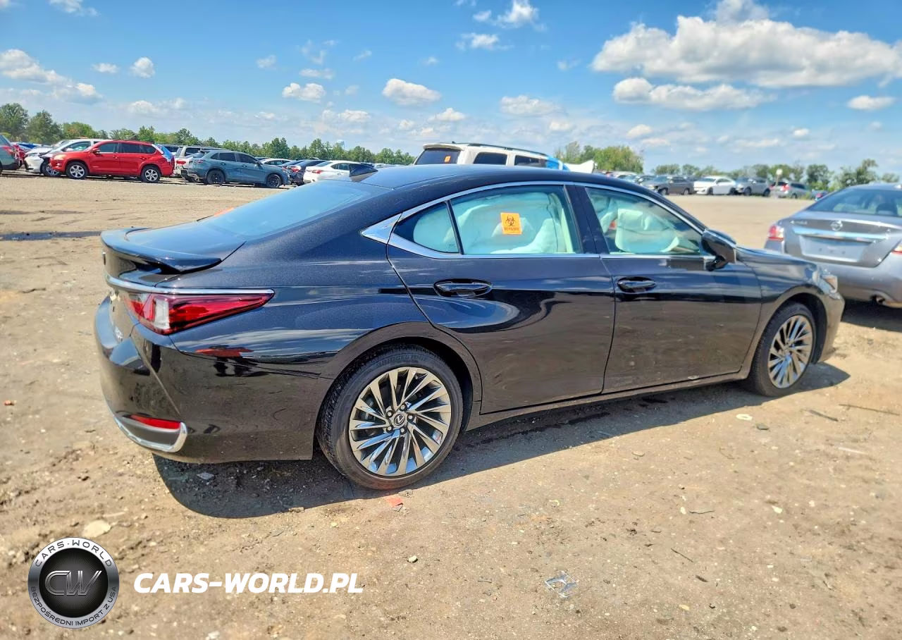 2025 Lexus Es 300H Luxury VIN:58AEA1C1XSU060350 - 3