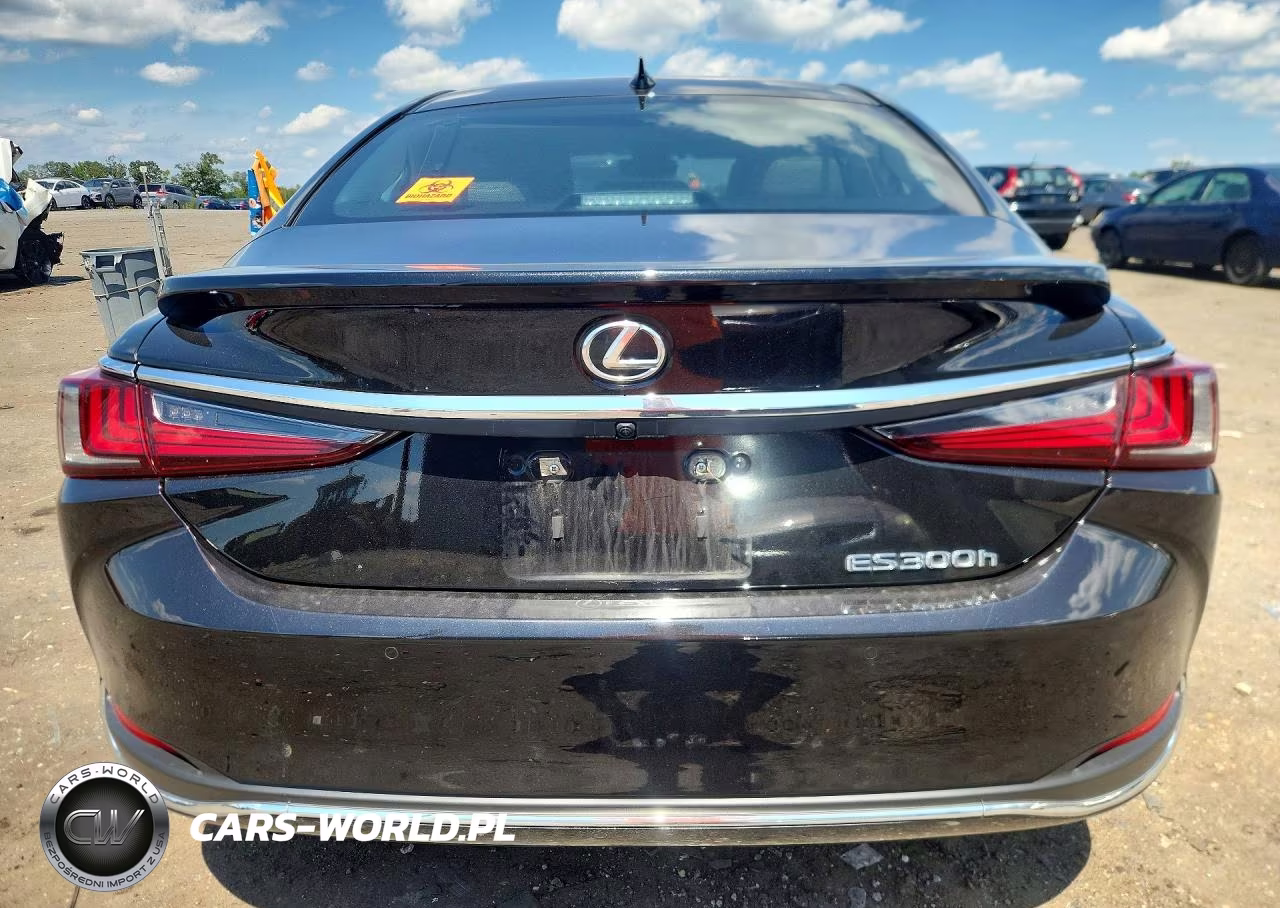 2025 Lexus Es 300H Luxury VIN:58AEA1C1XSU060350 - 6