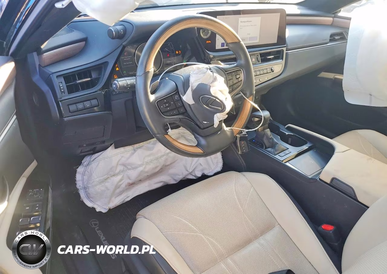 2025 Lexus Es 300H Luxury VIN:58AEA1C1XSU060350 - 8