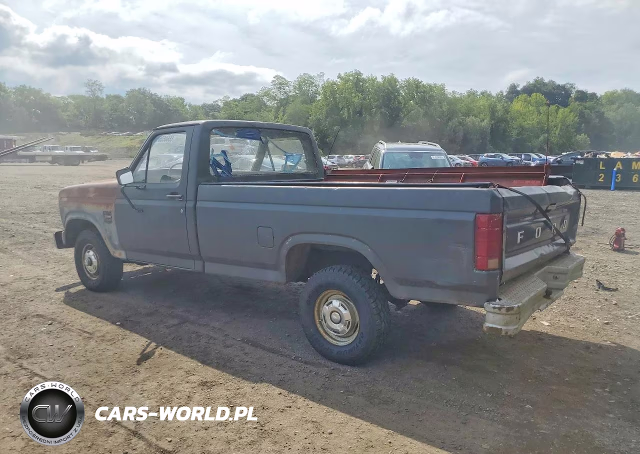 1986 Ford F150 VIN:2FTEF14N9GCB78959 - 2