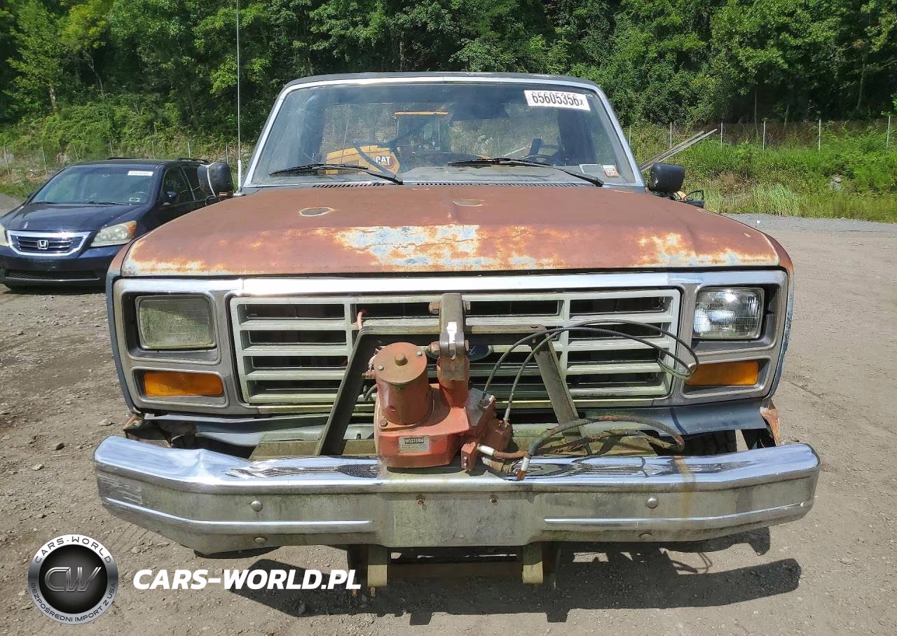 1986 Ford F150 VIN:2FTEF14N9GCB78959 - 5