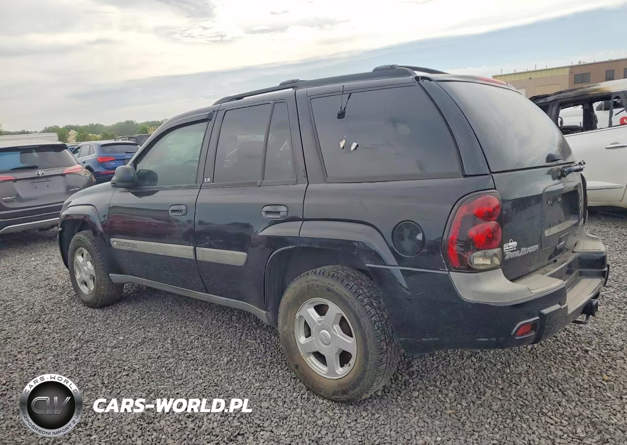 2003 Chevrolet Trailblazer VIN:1GNDT13S232161493 - 2