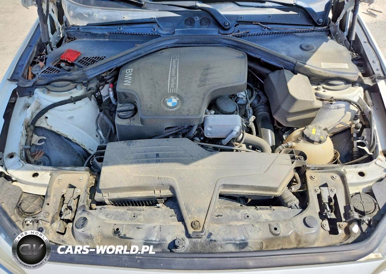 2014 BMW 228 I VIN:WBA1F5C54EV255846 - 11