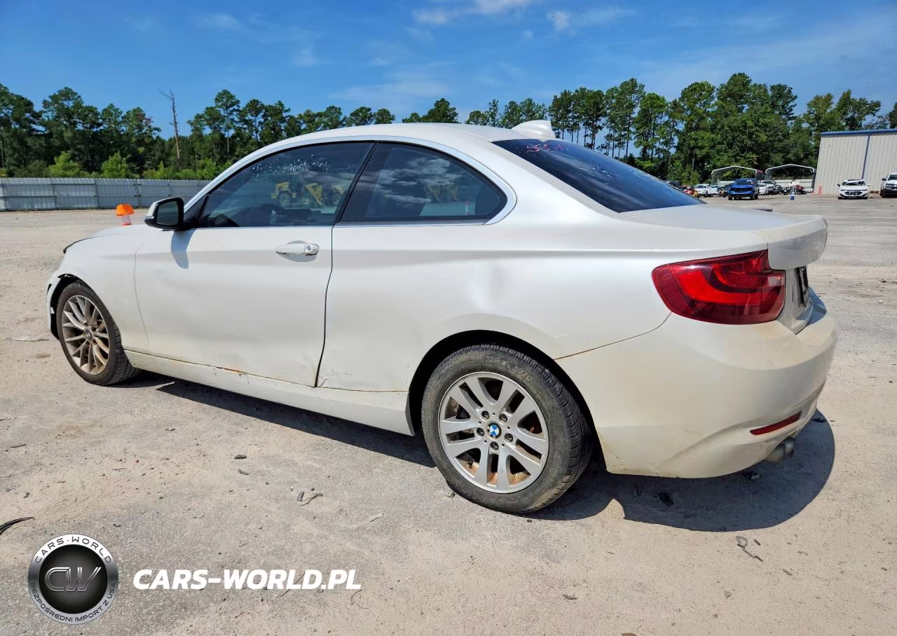 2014 BMW 228 I VIN:WBA1F5C54EV255846 - 2