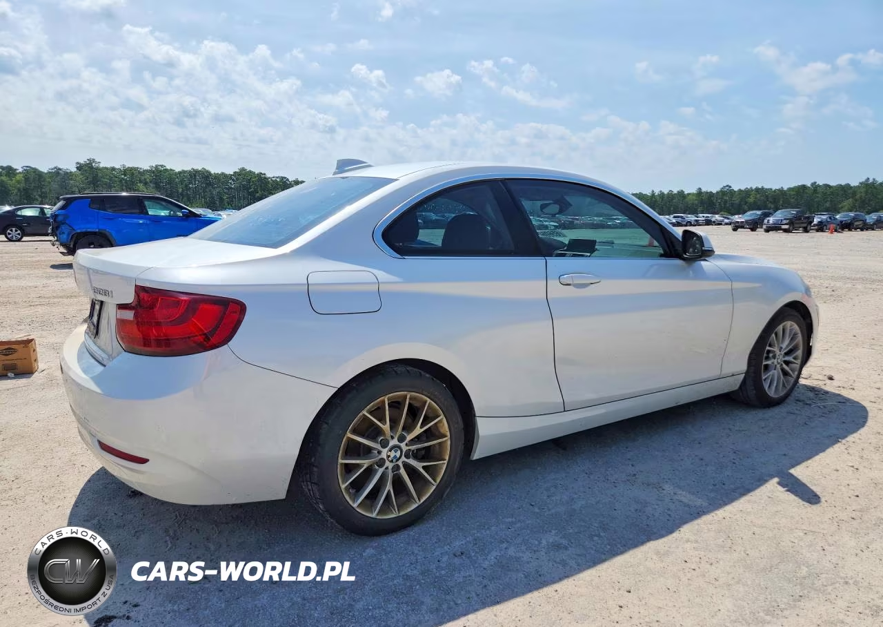 2014 BMW 228 I VIN:WBA1F5C54EV255846 - 3