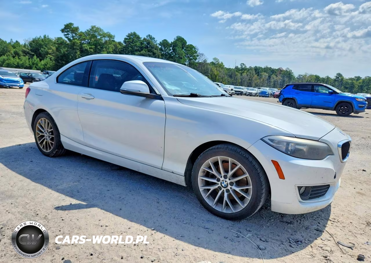 2014 BMW 228 I VIN:WBA1F5C54EV255846 - 4