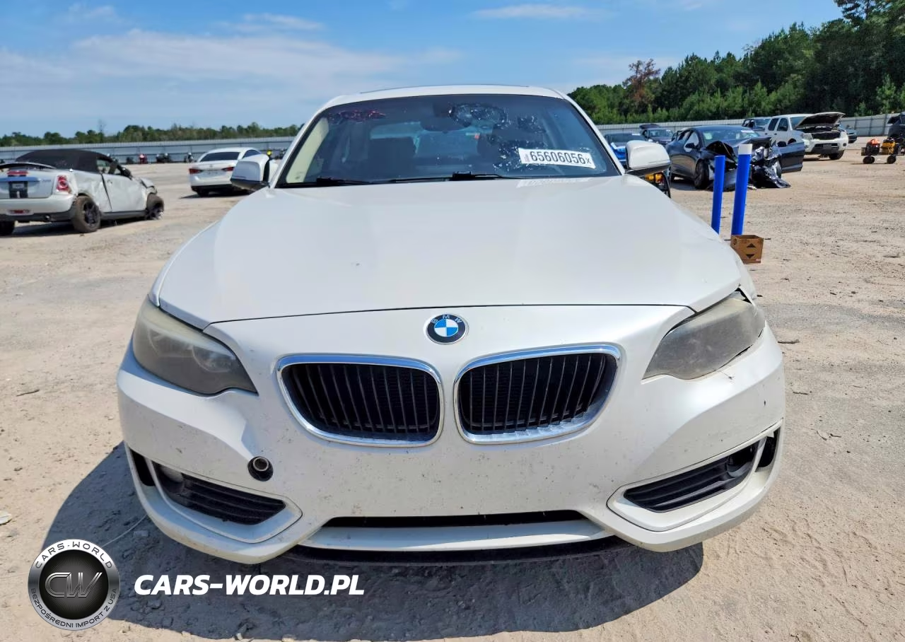 2014 BMW 228 I VIN:WBA1F5C54EV255846 - 5