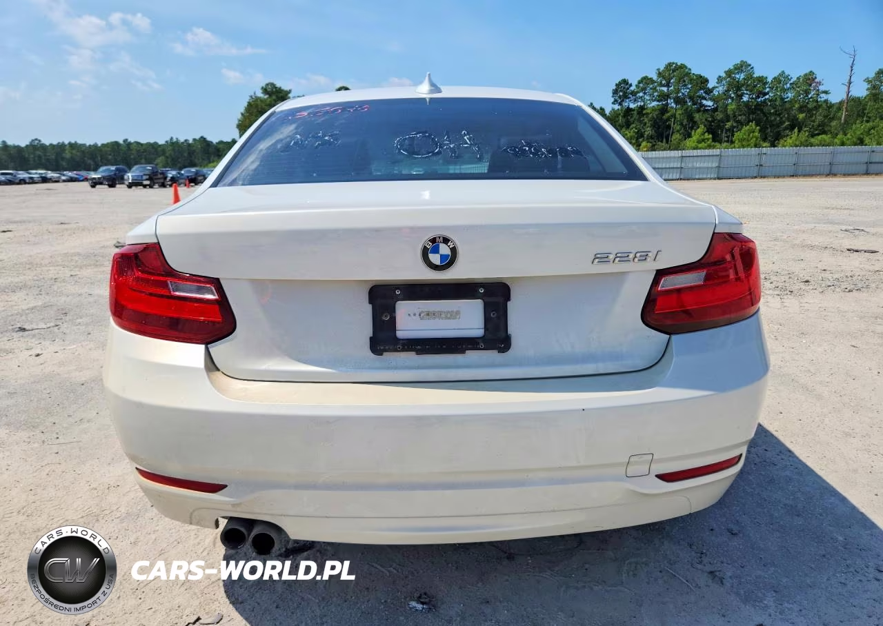 2014 BMW 228 I VIN:WBA1F5C54EV255846 - 6