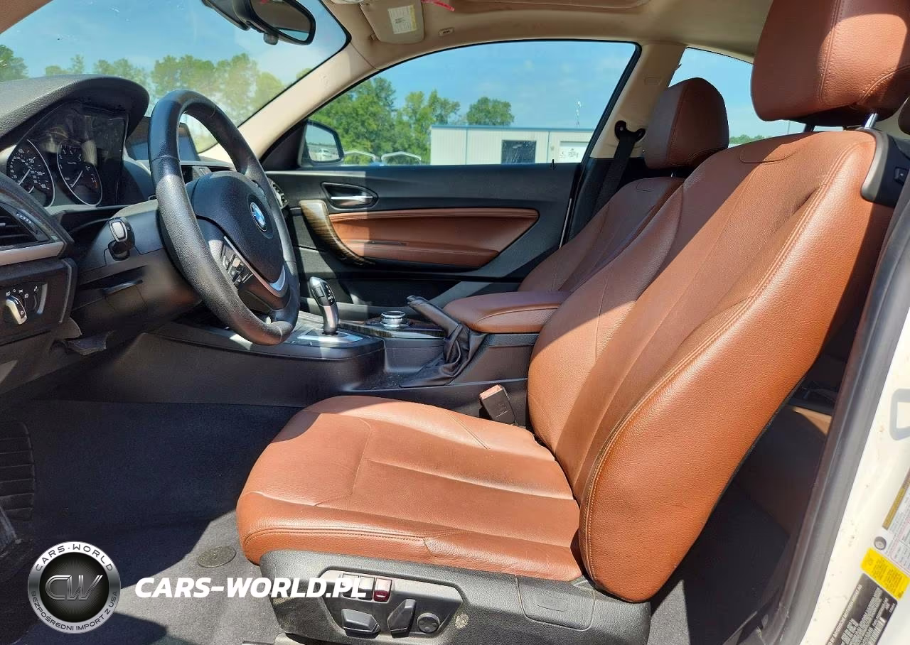 2014 BMW 228 I VIN:WBA1F5C54EV255846 - 7
