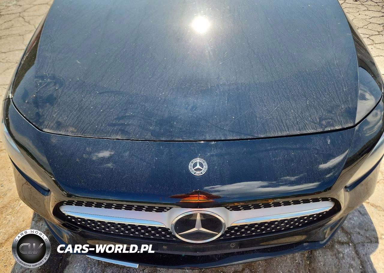 2019 Mercedes-Benz A 220 4Matic VIN:WDD3G4FB6KW017576 - 11