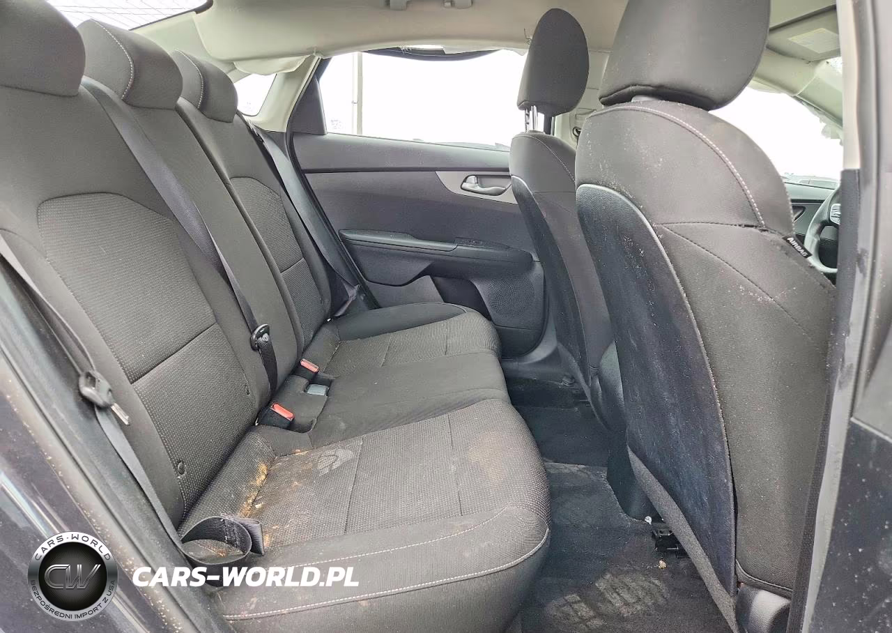 2019 Kia Forte Lxs VIN:3KPF24AD3KE037129 - 10
