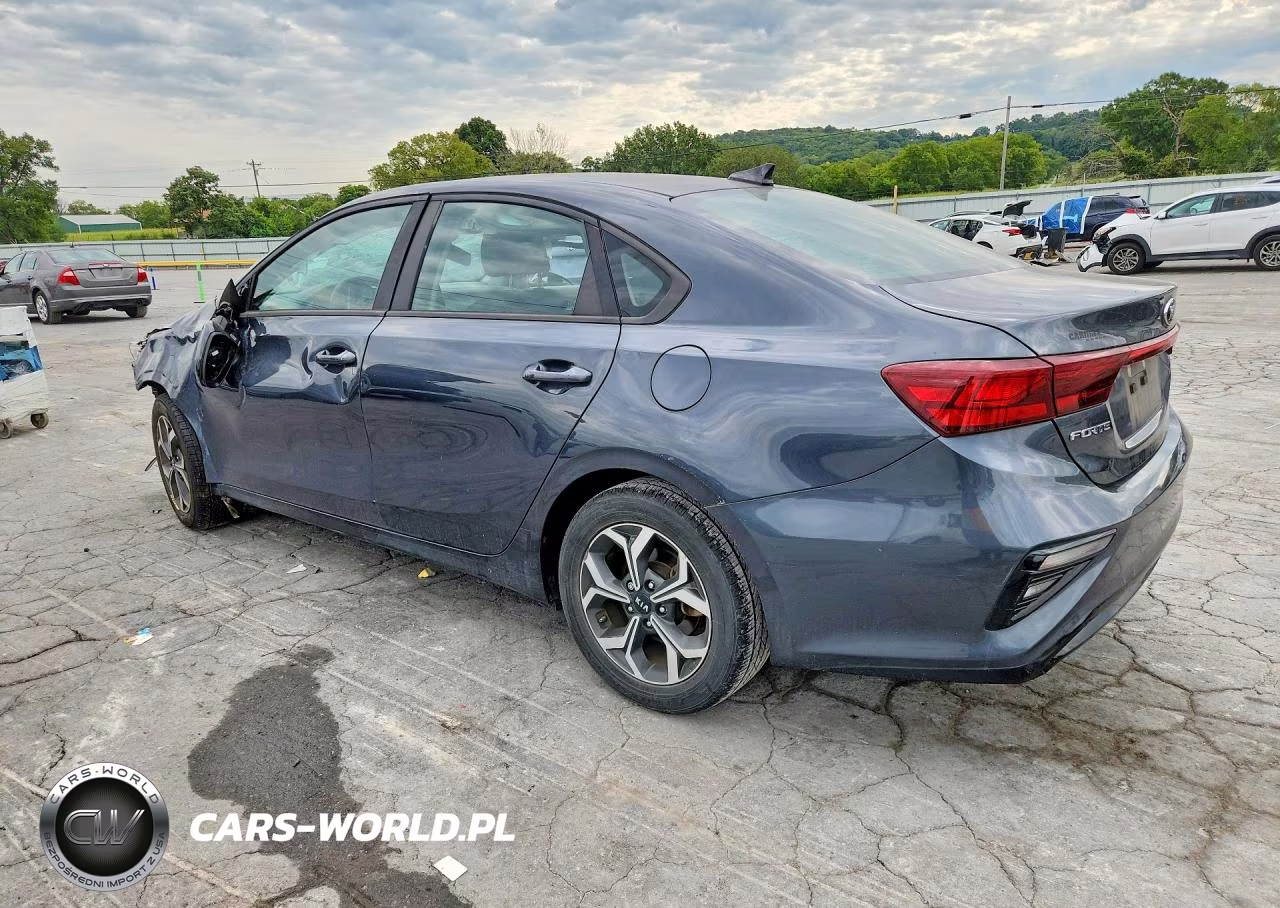 2019 Kia Forte Lxs VIN:3KPF24AD3KE037129 - 2