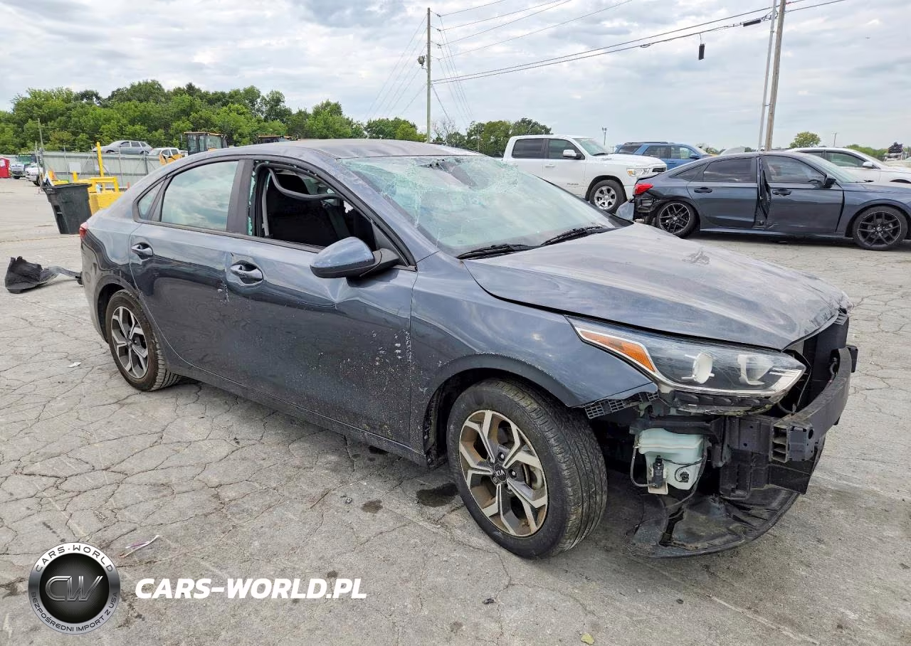 2019 Kia Forte Lxs VIN:3KPF24AD3KE037129 - 4