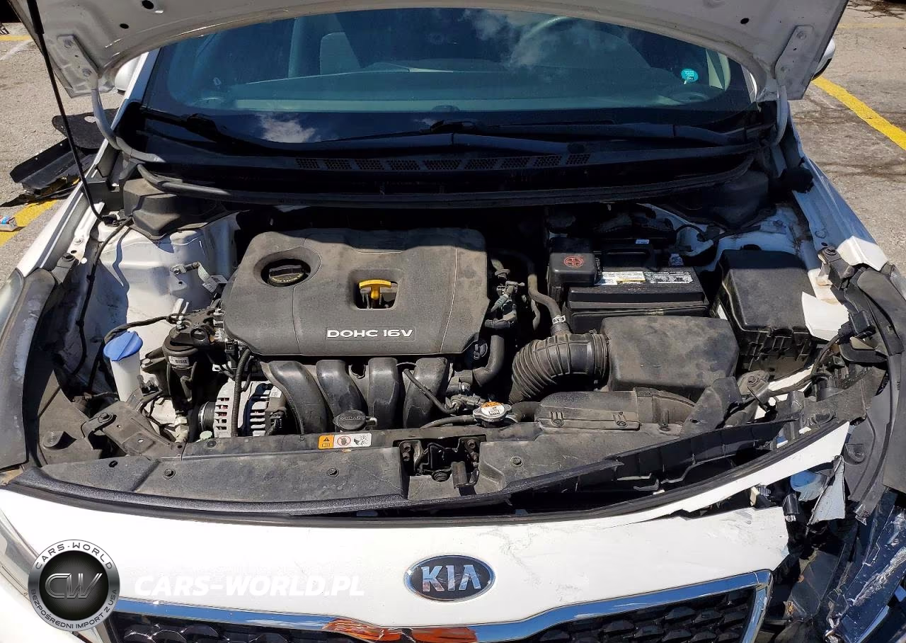 2018 Kia Forte Lx VIN:3KPFL4A71JE169764 - 11