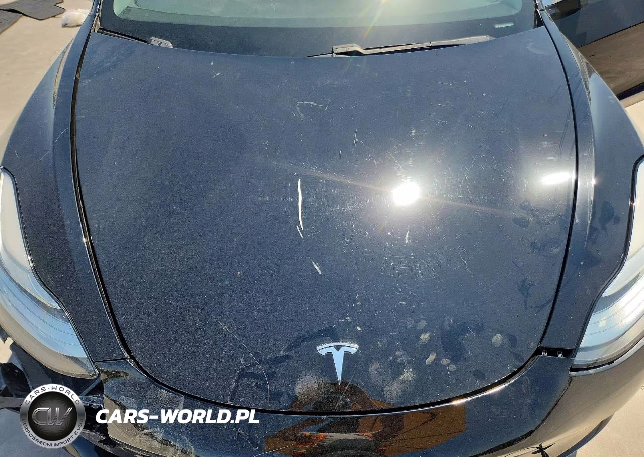 2019 Tesla Model 3 VIN:5YJ3E1EA7KF397877 - 11