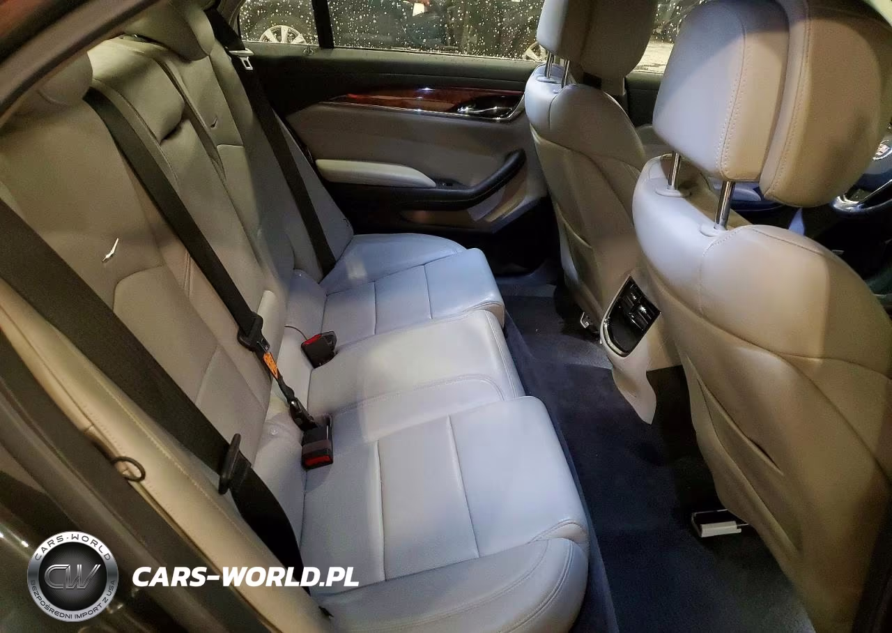 2014 Cadillac Cts Luxury Collection VIN:1G6AX5SXXE0131986 - 10