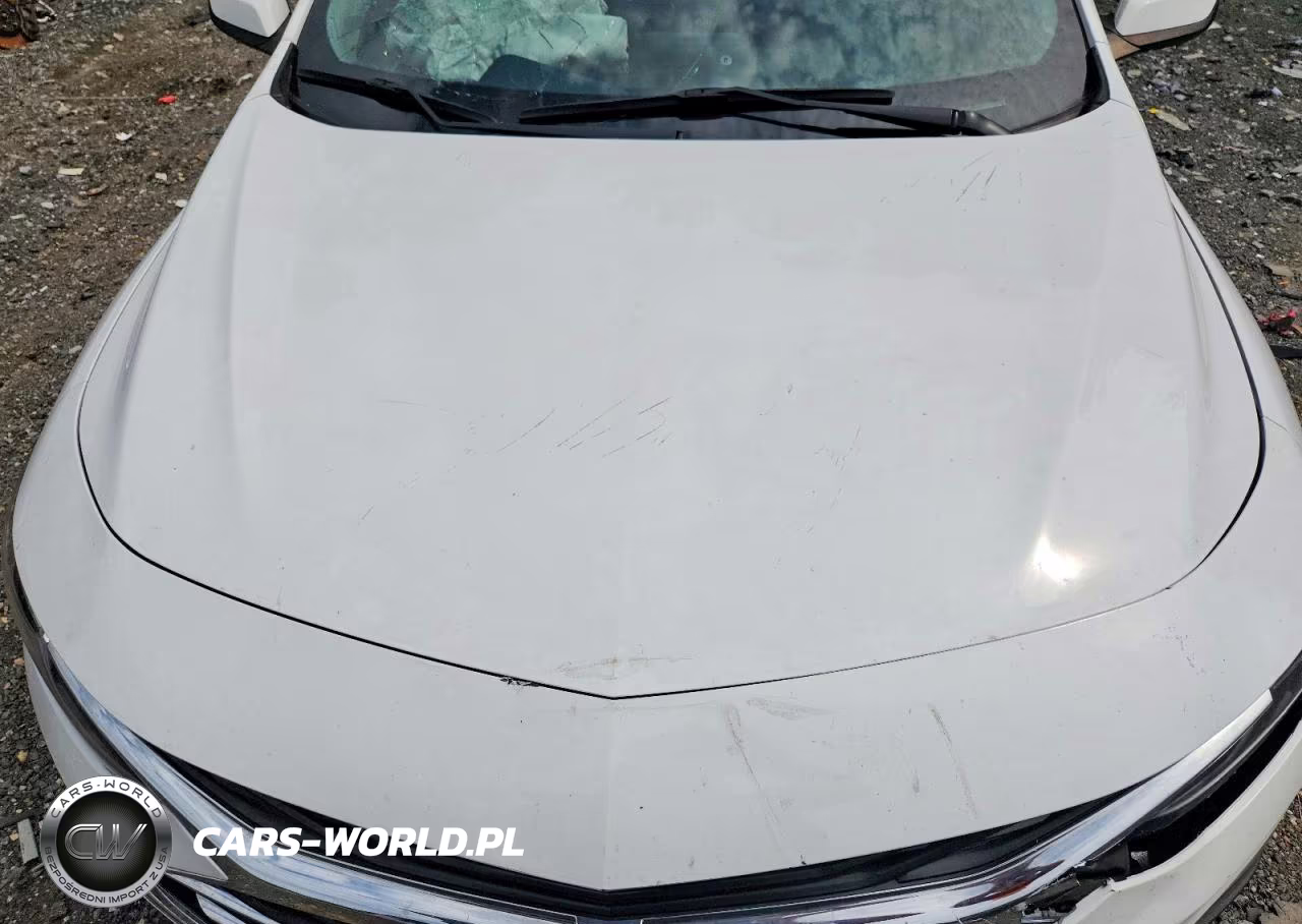 2023 Chevrolet Malibu Lt VIN:1G1ZD5ST8PF224813 - 11