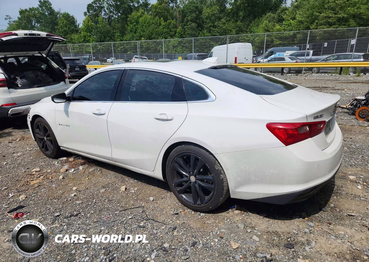 2023 Chevrolet Malibu Lt VIN:1G1ZD5ST8PF224813 - 2