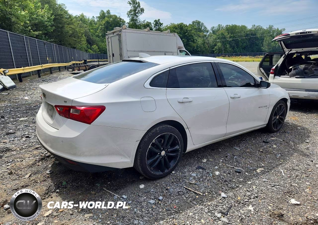 2023 Chevrolet Malibu Lt VIN:1G1ZD5ST8PF224813 - 3