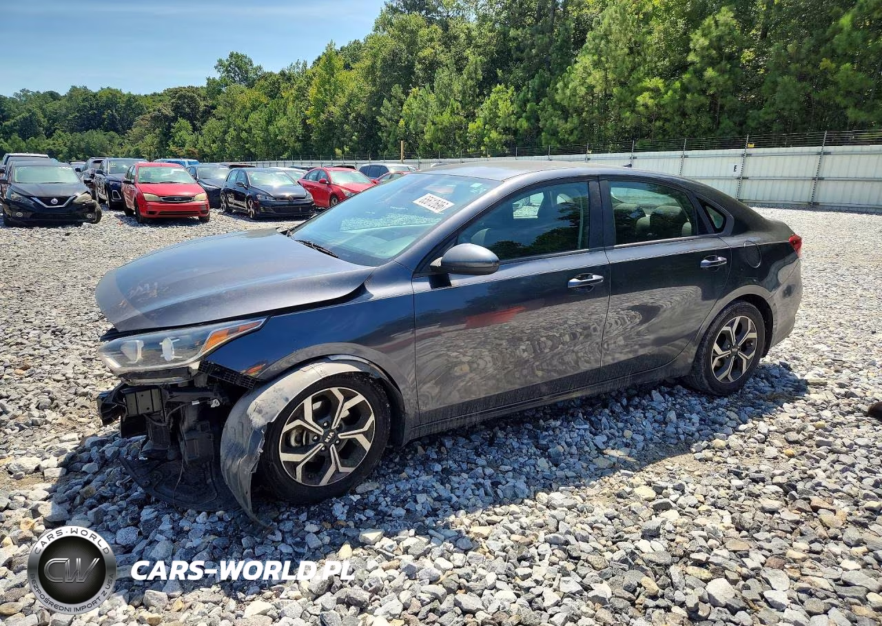 2019 Kia Forte Lxs VIN:3KPF24ADXKE061380 - 1