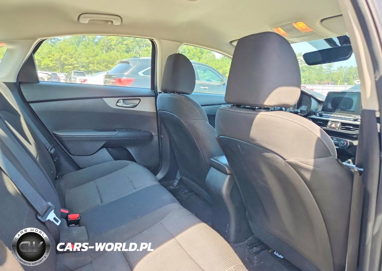 2019 Kia Forte Lxs VIN:3KPF24ADXKE061380 - 10